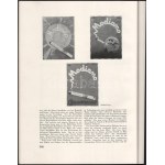 1929 Die Reklame Heft No. 22., Zeitschrift des Deutschen Reklame-Verbandes E.V., Bortnyik, Kónya, Biró, Berény stb...