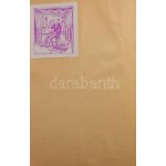 Jakab Elek - Dr. Szádeczky Lajos: Udvarhely vármegye története a legrégibb időtől 1849-ig. Bp., 1901., Athenaeum, IV...