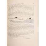 Nopcsa, [Ferenc] Franz: Geographie und Geologie Nordalbaniens mit einem Anhange von H. v. Mzik...