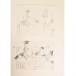 Nopcsa, [Ferenc] Franz: Geographie und Geologie Nordalbaniens mit einem Anhange von H. v. Mzik...