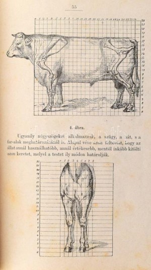 Békessy László. Általános állattenyésztés. Debreczen, 1884. Harmathy / Csáthy K. 123l. Szövegközti ábrákkal...