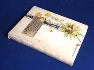 Wagner János: Magyarország virágos növényei. Hoffmann Károly növényatlaszának képeivel...