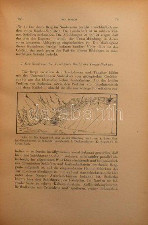 Prinz, Gyula: A Bolor. Der Bolor. Irta:- -. 130 szövegközti ábrával és 8 táblával, valamennyi a szerző eredeti rajza...