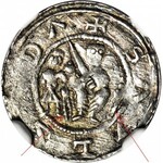 R-, W. II Wygnaniec 1138-1146, Denar Kraków, Walka z lwem, ozdobny tron władcy
