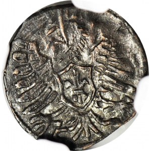 RRR-, Zygmunt III Waza, denar Poznań 1603 szeroka korona, PEŁNA DATA 16-03, T.30mk, R8