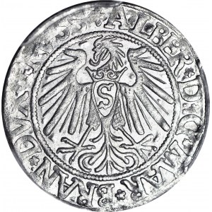 Lenne Prusy Książęce, Albrecht Hohenzollern, Grosz 1539, Królewiec, menniczy