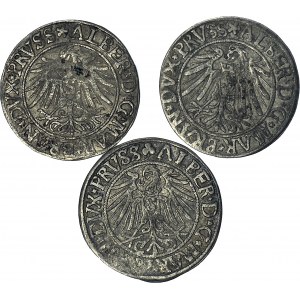Zestaw 3 szt. Lenne Prusy Książęce, Albrecht Hohenzollern, Grosze 1537-39-42, Królewiec