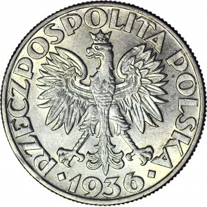 5 złotych 1936 Żaglowiec