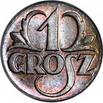 1 grosz 1923, menniczy, kolor RB