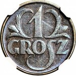 1 grosz 1933, menniczy, kolor BN