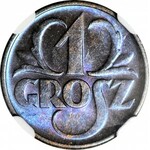 1 grosz 1935, menniczy, kolor BN