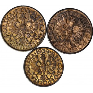3 szt. zestaw monet II RP, 5 groszy 1938 i 2 grosze 1939, mennicze