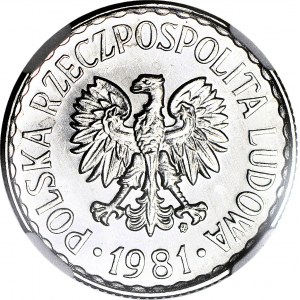 RR-, 1 złoty 1981 PROOFLIKE