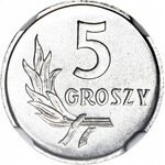 RRR-, 5 groszy 1971, PROOFLIKE, rzadki nominał w PL
