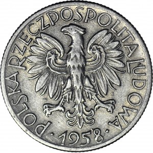 5 złotych 1958, Rybak, wąska 8, ładny