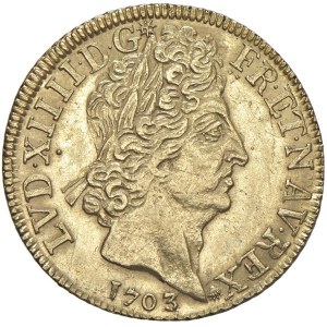 Foreign coins - FRANCIA Luigi XIV (1643-1715) Doppio Luigi 1703 - ...