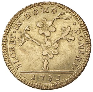 Papal coins - Pius VI (1775-1799) Double Roman 1785 - Munt. 3h A...