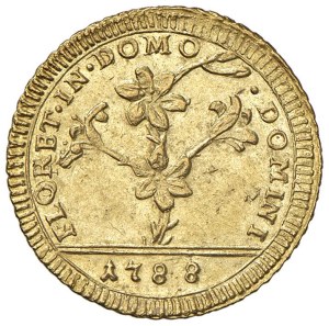 Papal coins - Pius VI (1775-1799) Double Roman 1788 - Munt. 5a A...