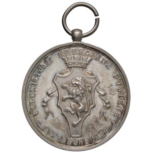 Medals - BRESCIA Esposizione d'Igiene bresciana 1888 Medagl...