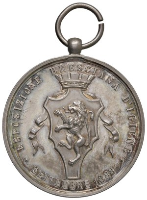 Medals - BRESCIA Brescia Hygiene Exposition 1888 Medagl...