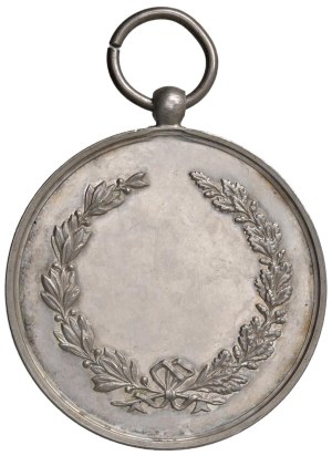 Medals - BRESCIA Brescia Hygiene Exposition 1888 Medagl...