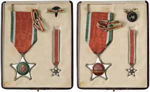 Medals - Victor Emmanuel III Colonial Order of the Stell...