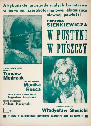 In the wilderness and the desert, film poster, 1984