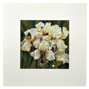 Peter Tofil (1953-2024), Irises, 2017