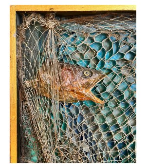 Prof. Bohdan BOROWSKI (1923-1989), Composition with fish I