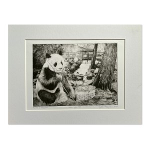 Agata Perzyńska, Panda in Gdansk, 2023