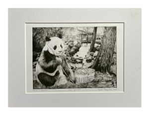 Agata Perzyńska, Panda w Gdańsku, 2023 rok