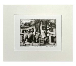 Agata Perzyńska, Camels in Sopot, 2022
