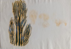 Ludwik Maciąg, Trees