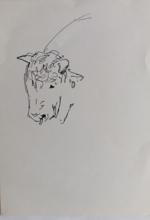 Ludwik Maciąg, Bull's Head