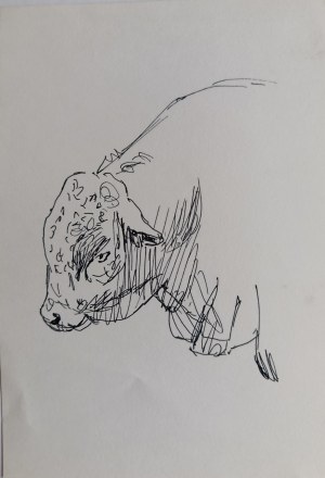 Ludwik Maciąg, Bull's Head