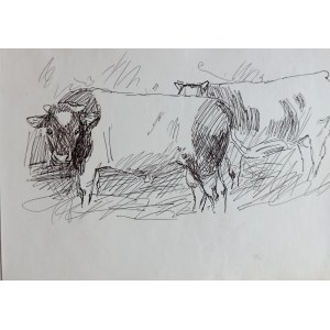 Ludwik Maciąg, Study of Animals , bull sideways