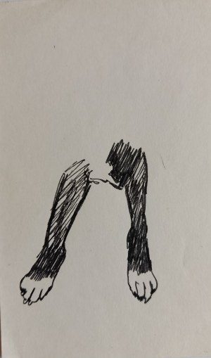 Ludwik Maciąg, Dog's Paws