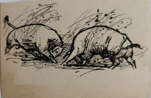 Ludwik Maciąg, Fighting Bulls