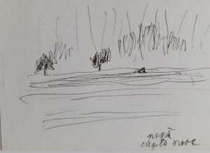 Ludwik Maciąg, Landscape