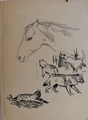 Louis Maciag, Animal study, horse, wolves, lynx