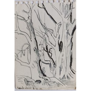 Ludwik Maciąg, Trees by the Pathway