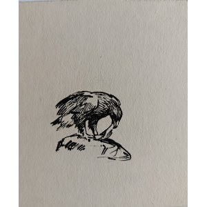 Ludwik Maciąg, Aquila che mangia
