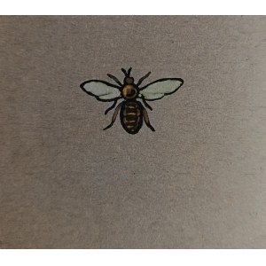 Ludwik Maciąg, Wasp