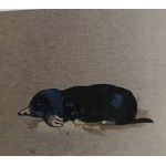 查看相似的