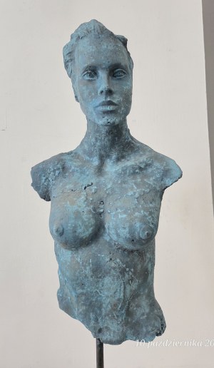 Janusz ZIMNICKI, Bust, 2023
