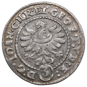 Bohemia, Silesia, Duchy of Liegnitz-Brieg (Reichenstein) 3 Kreuzer 1610 - Johann Christian (1602-1639) and Georg Rudolf
