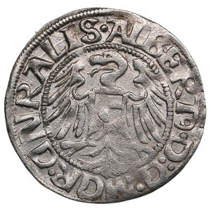Teutonic Order (Königsberg) AR Groschen 1520 - Albrecht von Brandenburg (1511-1525)