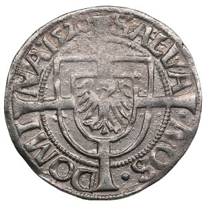 Teutonic Order (Königsberg) AR Groschen 1520 - Albrecht von Brandenburg (1511-1525)