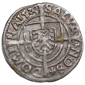 Teutonic Order (Königsberg) AR Groschen 1524 - Albrecht von Brandenburg (1511-1525)