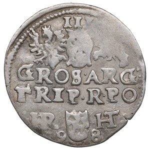 Polsko-litevské společenství (Poznaň) AR 3 Groszy / Trojak 1598 - Zikmund III Vasa (1587-1632)
